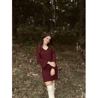 IZ NAIZ IZ NAIZ Juliene dress bordeaux red