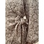 Magrethe dress beige flower print