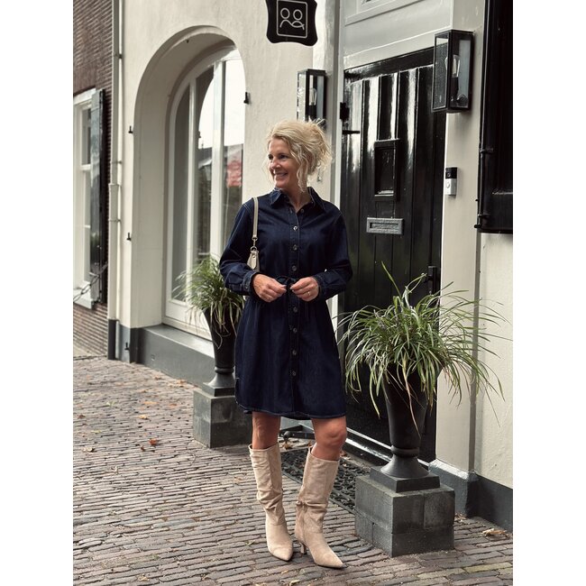 Elvira Elvira Deluna dress denim blue