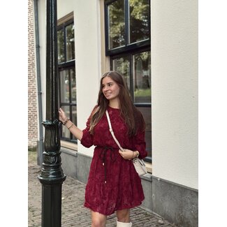 Ryanna feather dress bordeaux red