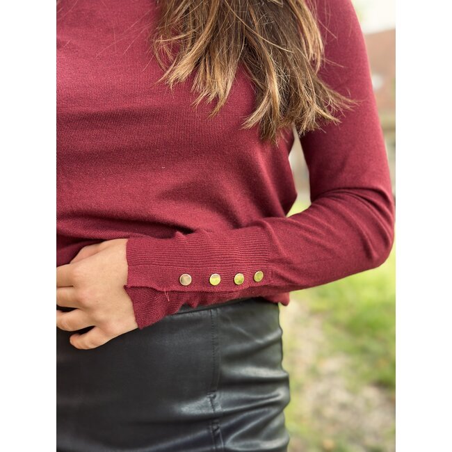 Denice turtleneck bordeaux red One Size
