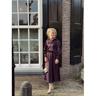 Elvira Elvira Hannah long satin skirt aubergine