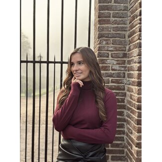 Roanne turtleneck bordeaux red