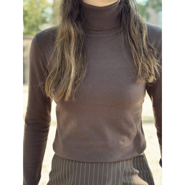 Roanne turtleneck brown