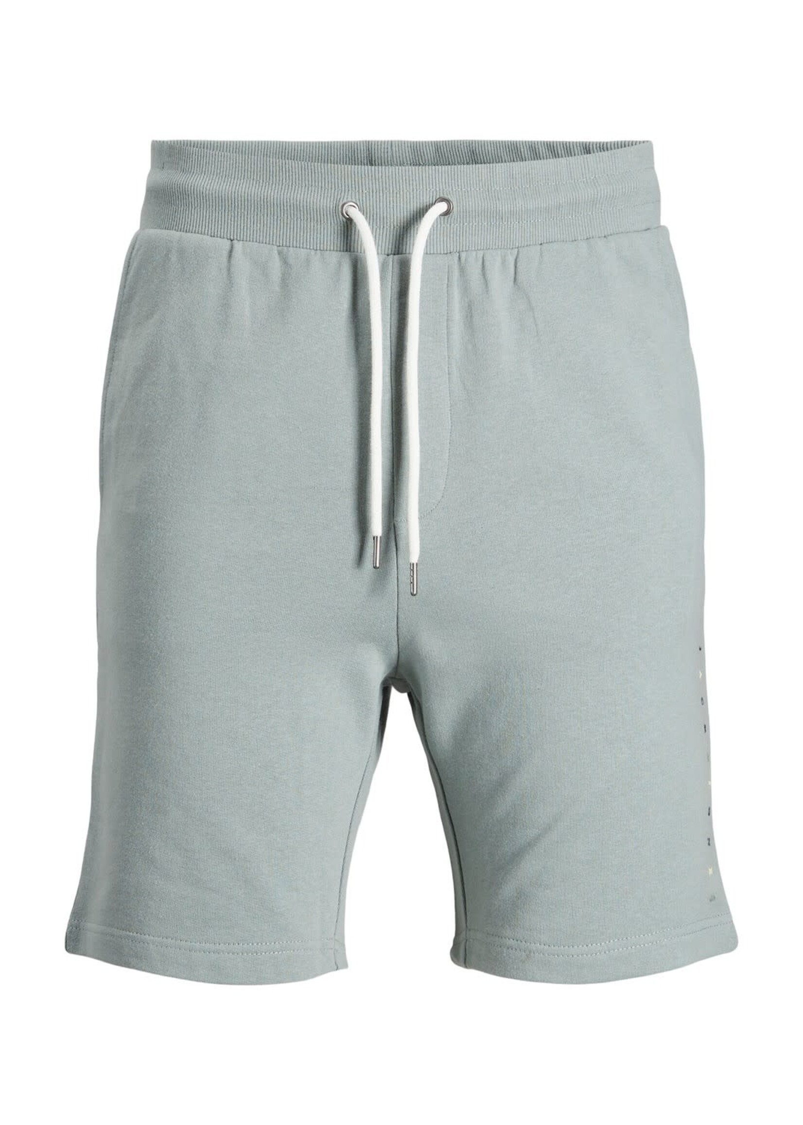 Font sweat shorts - Slate gray multi color