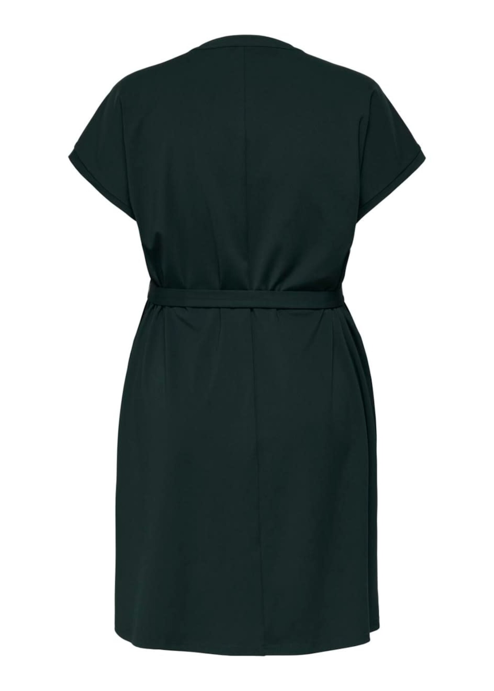 ONLY CARMAKOMA Anie v-neck dress - Scarab