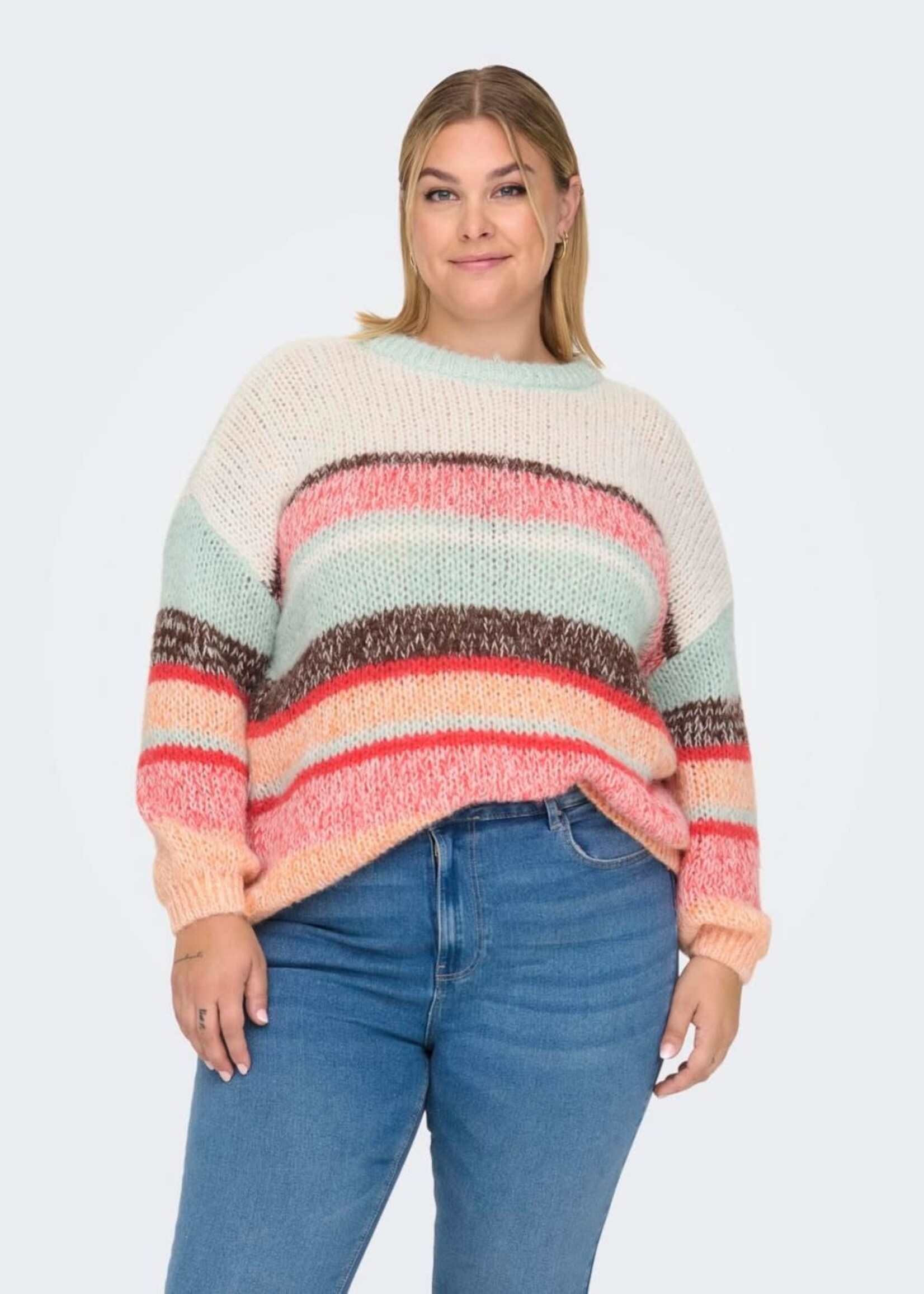 ONLY CARMAKOMA Alyssa stripe o-neck knit - Multicolor