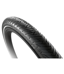 stadsfietsen/ e-bikes - fietsbandspecialist.nl