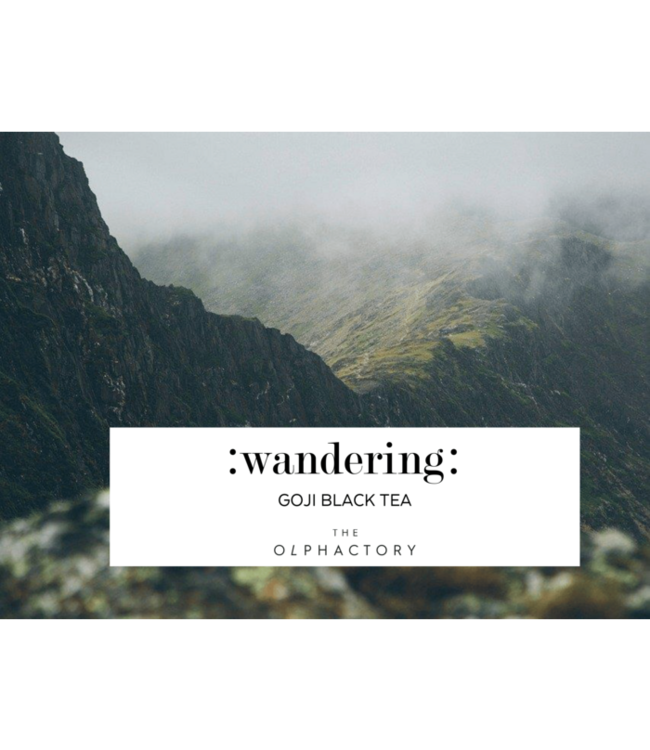 Luxe Geurstokjes #wandering - goji bessen