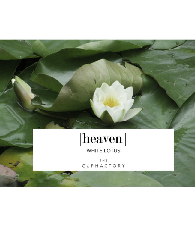 Luxe Geurstokjes #heaven