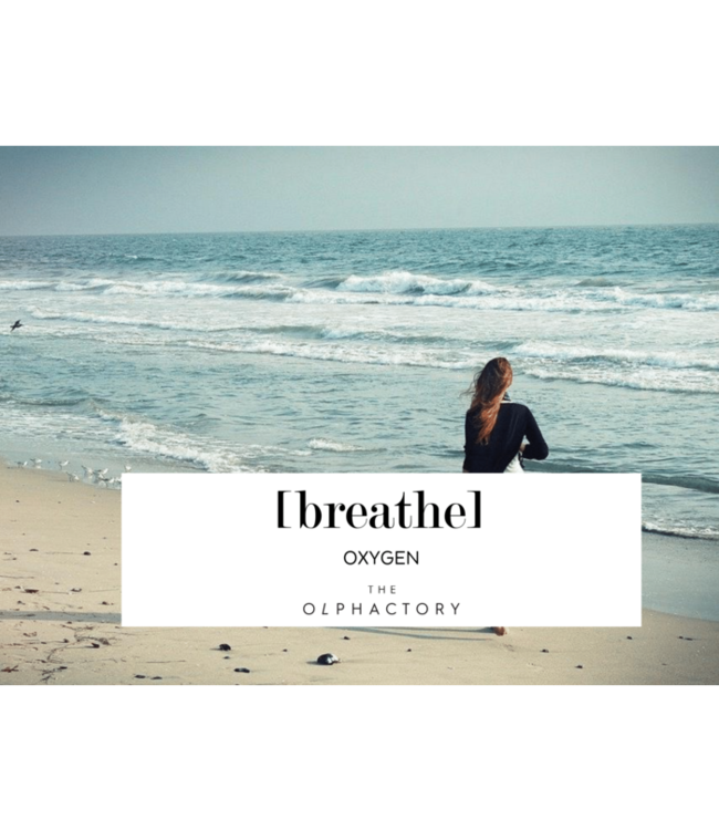 Luxe Geurstokjes #breathe