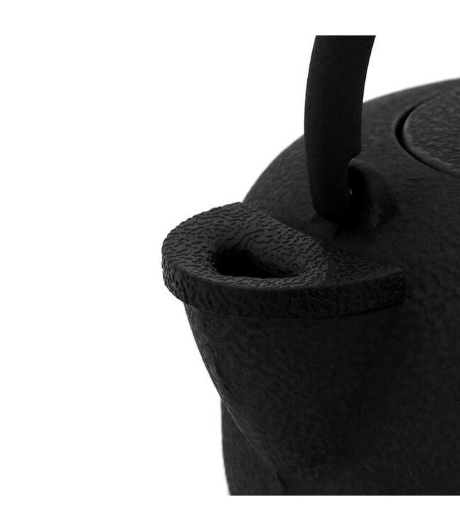 Theepot Saga gietijzer met filter 800 ml