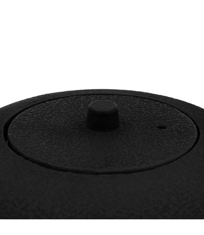 Theepot Saga gietijzer met filter 800 ml