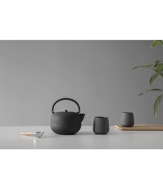 Theepot Saga gietijzer met filter 800 ml