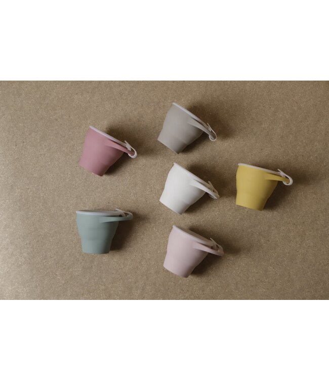 Snacking Cups With Clip On Lid