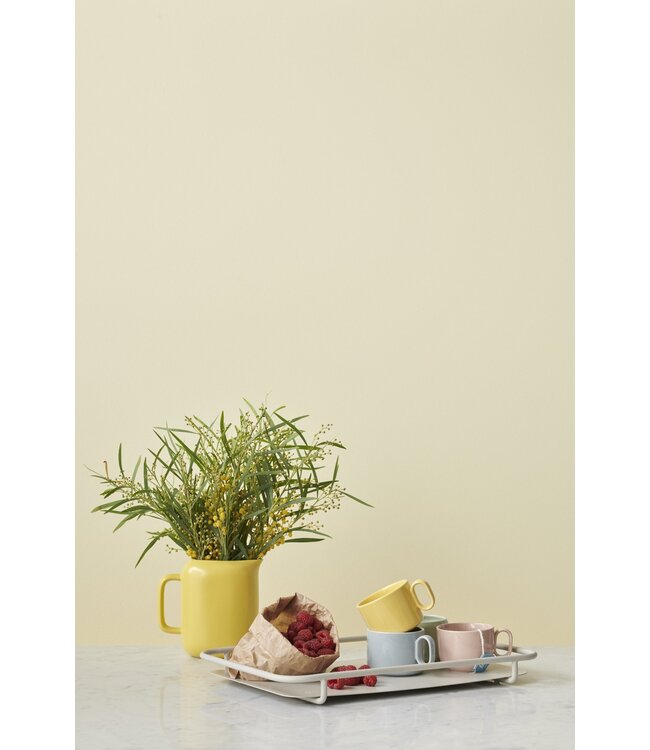 CARRY-ON serving tray - grey