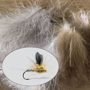 Orvis Bulk CDC Bulk CDC