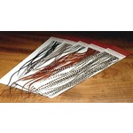 Whiting Farms 100 Saddle Hackle Packs