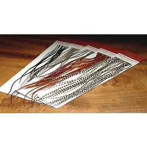 Whiting Farms 100 Saddle Hackle Packs 100 Saddle Hackle Packs