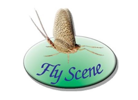 Fly Scene