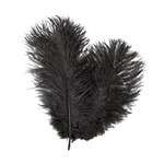 OPST Signature Intruder Drabs - Struisvogel OPST Signature Intruder Drabs - Struisvogel