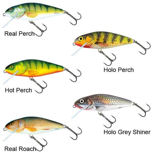 Salmo Perch