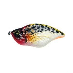 Rozemeijer Maori Maori