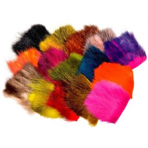 Future Fly American Opossum American Opossum