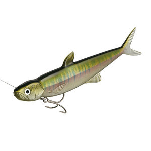 Ever Green Last Ace Last Ace