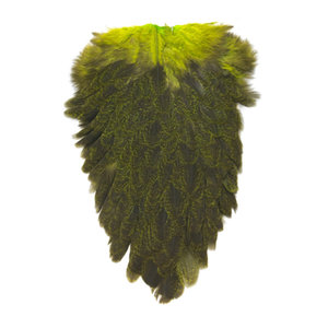 Whiting Farms Coq de Leon Coq de Leon