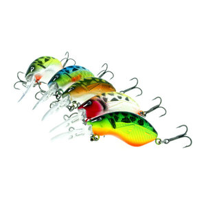 Rozemeijer Bumblebee Bumblebee