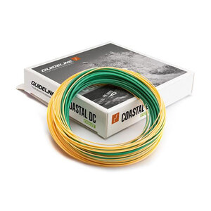 Guideline Coastal Evolve Coastal Evolve