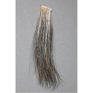 Fly Scene Miscellaneous Hair Moose Mane Miscellaneous Hair Moose Mane