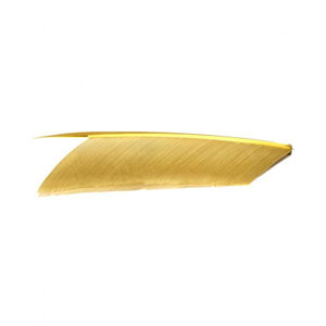 Fly Scene Condor Substitute Condor Substitute