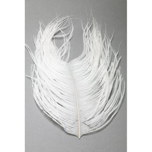 Fly Scene Ostrich Plumes Ostrich Plumes