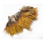 The Fly Company Golden Pheasant Feathers Strung