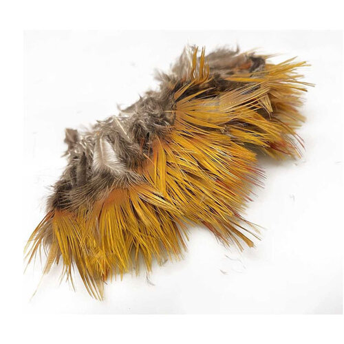 The Fly Company Golden Pheasant Feathers Strung