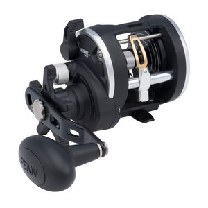 Penn Rival Level Wind Rival Level Wind