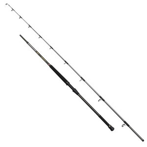 Penn Regiment IV Uptide Regiment IV Uptide