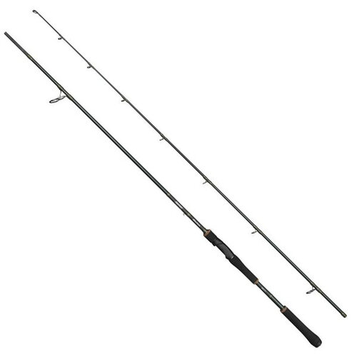 Abu Garcia Beast X Spinning