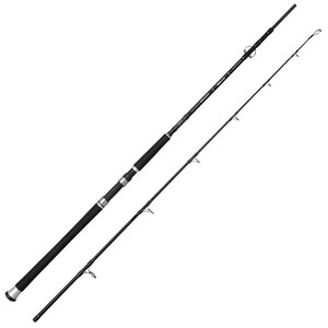 Spro Salty Beast Jig Fast Rod Salty Beast Jig Fast Rod