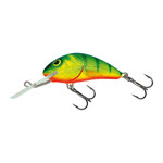 Salmo Hornet