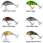 Rattlin' Hornet Shallow Salmo Rattlin' Hornet Shallow