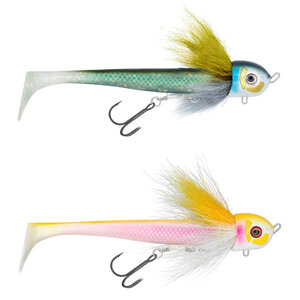 Black Bay Blackbug Beetle Junior Blackbug Beetle Junior