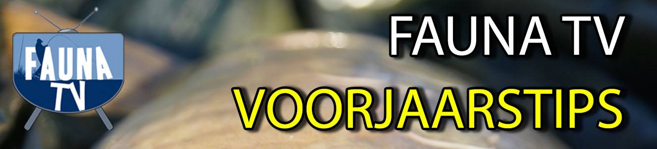 Fauna TV - Voorjaarstips