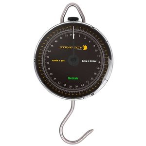 Strategy The Scale The Scale