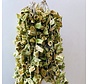 Gedroogde  Zucchini 1 Stuks