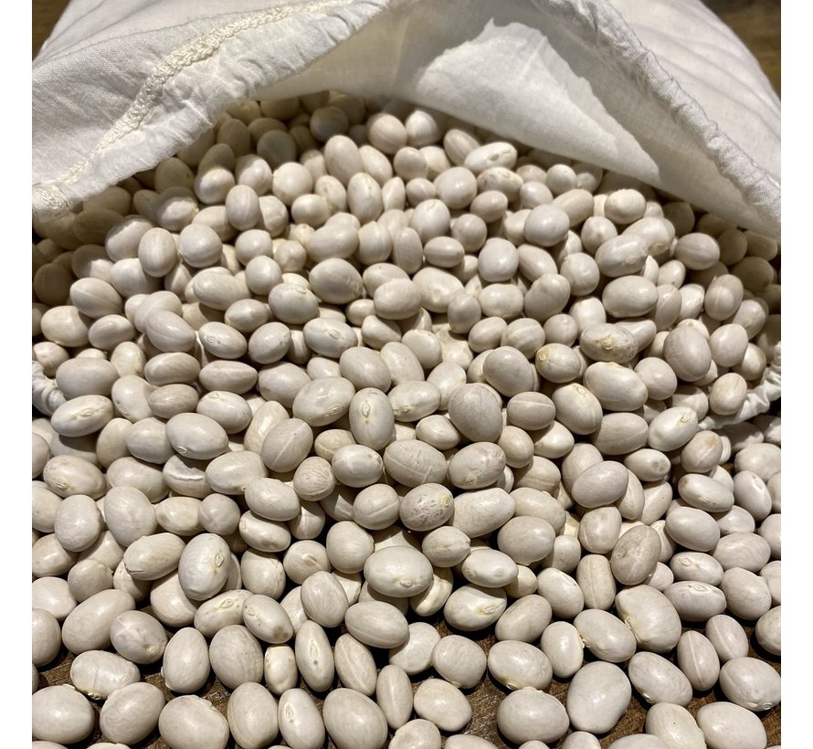 Witte Bonen uit İspir 1 kg