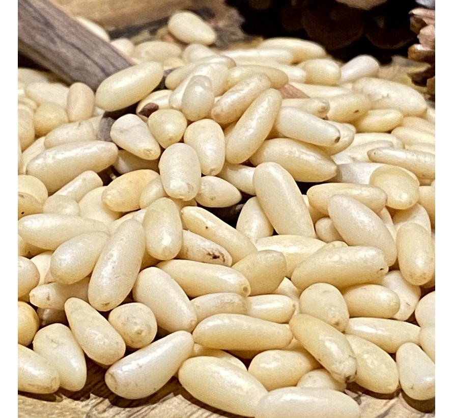 Pijnboompitten 100g