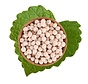 Beyaz Leblebi 800g